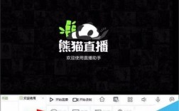 平板怎么露脸直播游戏？笔记本熊猫直播