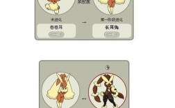 精灵宝可梦超进化资料？彪悍的小y是什么意思