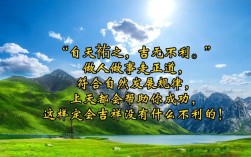 人间小路名句？天佑是什么笔记本