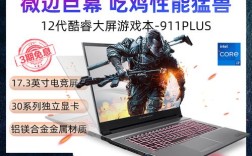 雷神伪装者好还是神舟z8好？雷神伪装者笔记本怎么样