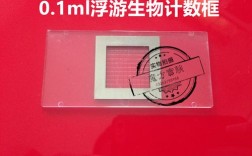 浮游菌怎么计数？什么是浮游本