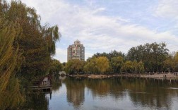 华为nova11标准版拍照到底怎么样？sony pro11怎么样