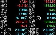 股票软件首页中“市盈”、“总金额”、“流通股本”都代表说明什么？可以用通俗点的语言解释一下吗？笔记本主页太大