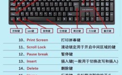 笔记本虚拟键盘快捷键？笔记本电脑 虚拟小键盘