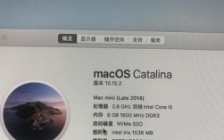 macmini2014可以强制加内存吗？苹果笔记本没不能加内存