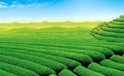 有哪些笔记本电脑屏幕比较护眼？带护眼功能的笔记本