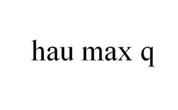 MaxQ是什么意思？max-q能干什么