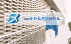 emo代加工是什么东西？笔记本代加工