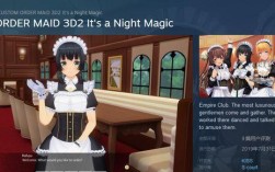 3D定制女仆2打开游戏出现这个问题？定制游戏本是什么