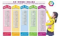 智学城堡和全脑有什么区别？什么是全智服务