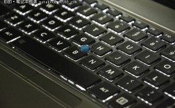 东芝电脑键盘没任何反应，数字和输入法都打不出。该怎么办？东芝z30屏幕怎么样