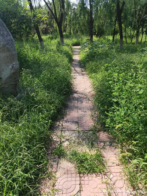 描写春天小路景象的句子?天佑笔记本是什么-图3 描写春天小路景象的句子?天佑笔记本是什么-图3