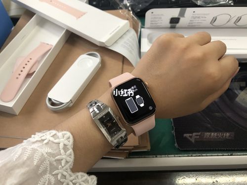 iwatchse和s6怎么选?未来人类s6用什么品牌内存-图2 iwatchse和s6怎么选?未来人类s6用什么品牌内存-图2