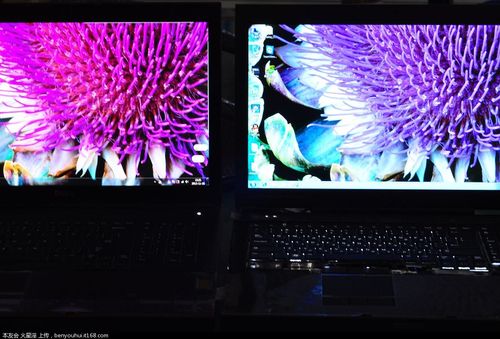 笔记本的LCD.LED.IPS。雾面屏有什么区别?笔记本防眩光屏是什么-图2 笔记本的LCD.LED.IPS。雾面屏有什么区别?笔记本防眩光屏是什么-图2