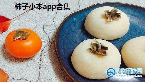 柿子小本怎么在苹果商店找不到了?苹果小本叫什么名字吗-图1 柿子小本怎么在苹果商店找不到了?苹果小本叫什么名字吗-图1