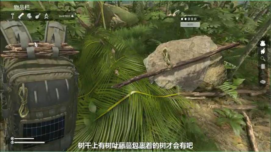 绿色地狱椰子树可以砍吗?笔记本 上树是什么-图1 绿色地狱椰子树可以砍吗?笔记本 上树是什么-图1