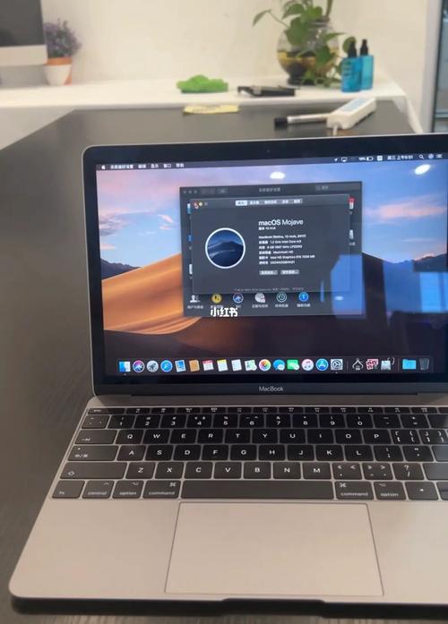 macbook12寸怎么连鼠标?macbook12寸可以玩什么-图1 macbook12寸怎么连鼠标?macbook12寸可以玩什么-图1
