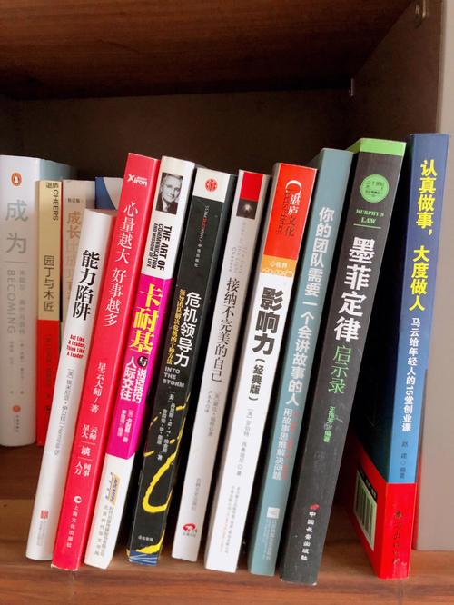 职场书籍推荐？戴尔职场是什么-图3