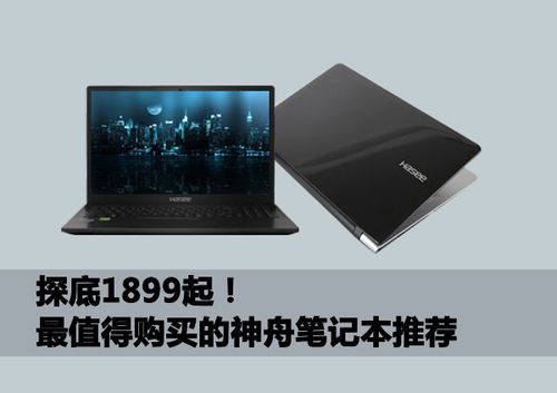神舟电脑值得买吗?现在什么电脑值得买-图1 神舟电脑值得买吗?现在什么电脑值得买-图1