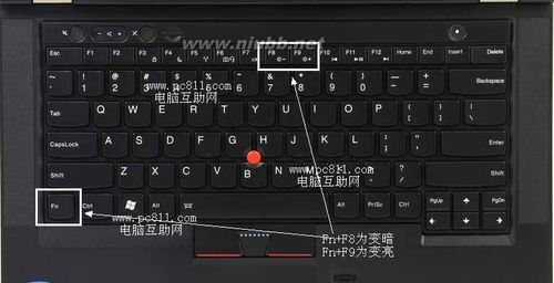 戴尔笔记本数字与字母键转换控制键是如何使用?戴尔笔记本Fn X是什么指令-图3 戴尔笔记本数字与字母键转换控制键是如何使用?戴尔笔记本Fn X是什么指令-图3