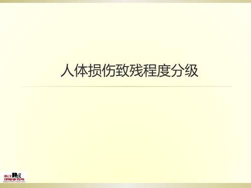 人体损伤致残程度分级5,9,6,2条是什么?笔记本电脑评分5.9什么意思-图2 人体损伤致残程度分级5,9,6,2条是什么?笔记本电脑评分5.9什么意思-图2