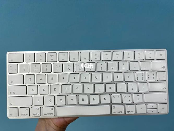 苹果妙控键盘跟普通键盘区别?苹果笔记本键盘评测-图1 苹果妙控键盘跟普通键盘区别?苹果笔记本键盘评测-图1