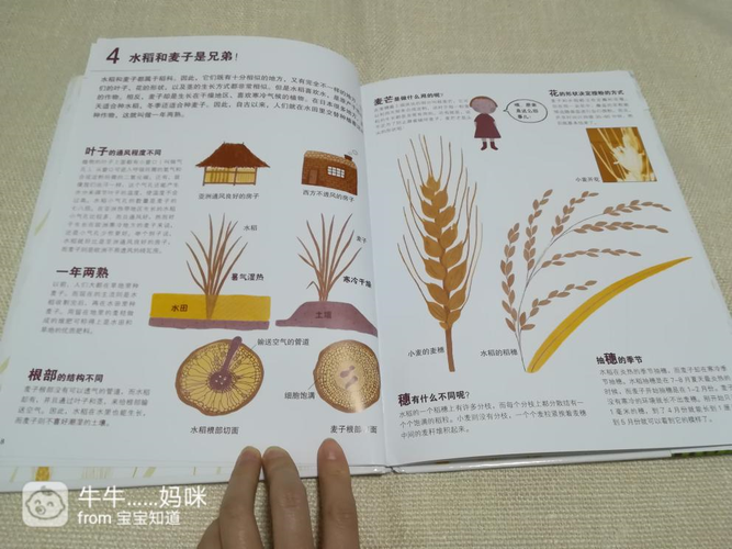 麦子的花样做法小麦6笔记本拆机视频-图3 麦子的花样做法小麦6笔记本拆机视频-图3
