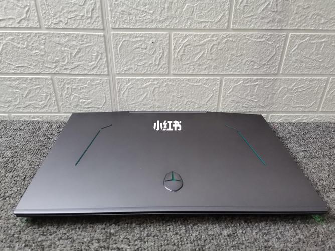 我电脑是雷神911m1 256g+1t系统和游戏装哪快点,该怎么分区?雷神笔记本911m1-图2 我电脑是雷神911m1 256g+1t系统和游戏装哪快点,该怎么分区?雷神笔记本911m1-图2
