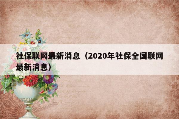 2022年全国社保联网的17个省?笔记本 全国上网-图1 2022年全国社保联网的17个省?笔记本 全国上网-图1