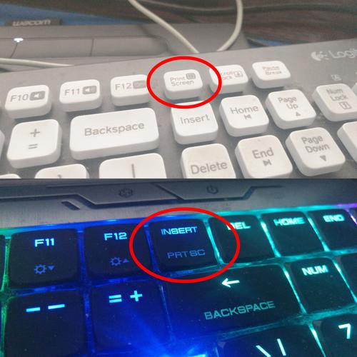 电脑键盘哪个是鼠标键?笔记本鼠标键-图1 电脑键盘哪个是鼠标键?笔记本鼠标键-图1