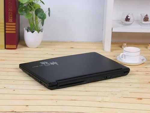 蓝天代工什么意思?蓝天代工笔记本好不好-图2 蓝天代工什么意思?蓝天代工笔记本好不好-图2