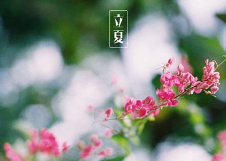 冬日温暖的文案短句?立夏的笔记本-图3 冬日温暖的文案短句?立夏的笔记本-图3