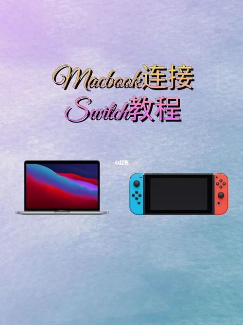Switch不用采集卡怎么连笔记本?switch视频输出笔记本-图3 Switch不用采集卡怎么连笔记本?switch视频输出笔记本-图3